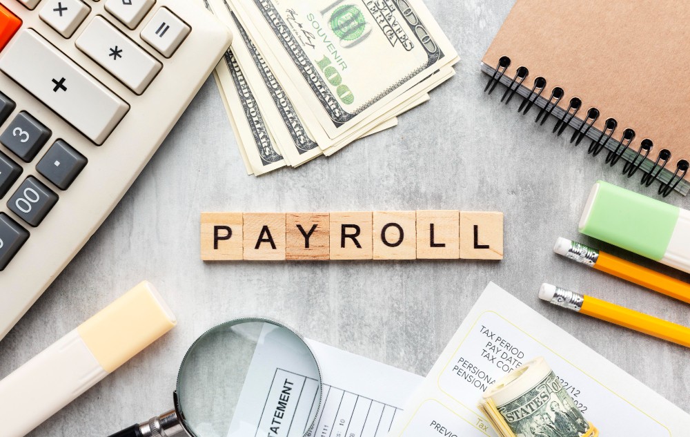 Payroll Software in Nigeria
